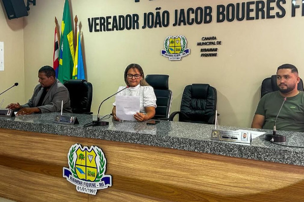7ª Sessão Ordinária de 2025